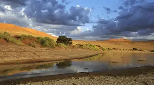 Sossusvlei Water