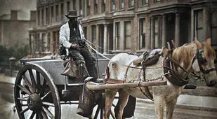 Water Cart