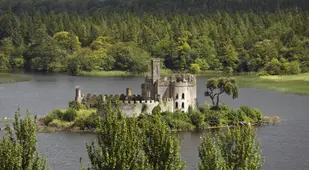 Mcdermotts Castle And Forests Beyond