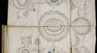 Folded Out Pages Of The Voynich Manuscript