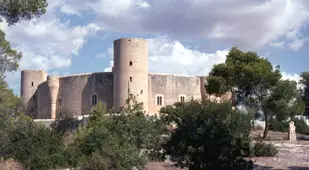 Tree Lined View Of Bellver Castle