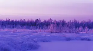 Snowy Purple Landscape Russia