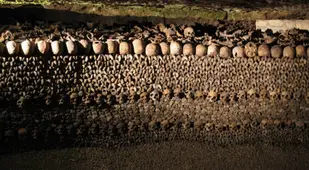 Walls Of The Paris Catacombs