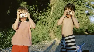 Disposable Cameras