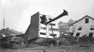 An Uprooted Tree In A House