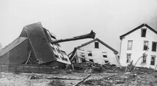 Wrecked Home With A Tree Through It