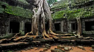Angkor Wat Temple