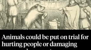 Facts About Animal Trials During The Middle Ages