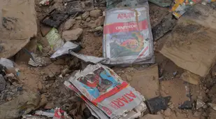 E.T. Video Game