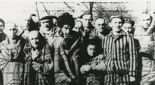 People At Auschwitz When The Red Army Arrived