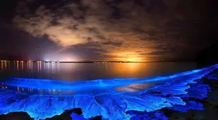Electric Blue Water
