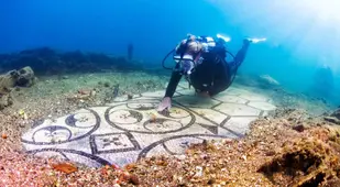Diver In Baiae