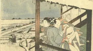 Couple Making Love In Winter