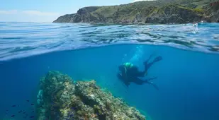 Mediterranean Sea Scuba Diving