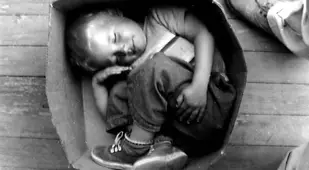 Boy In Cardboard Box