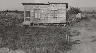 Built Shack