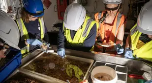 NIWA Researchers Analyzing Samples