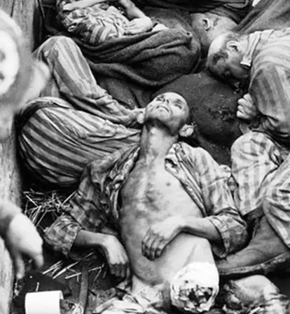 Pile Of Bodies At Bergen Belsen