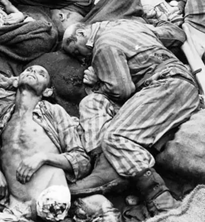 Pile Of Bodies At Bergen Belsen