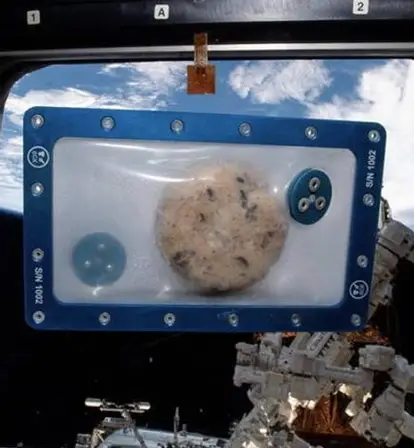Cookie In Outer Space