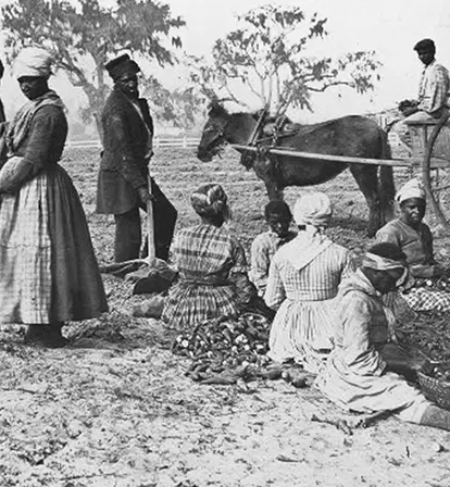 Antebellum South