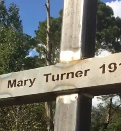 Mary Turner