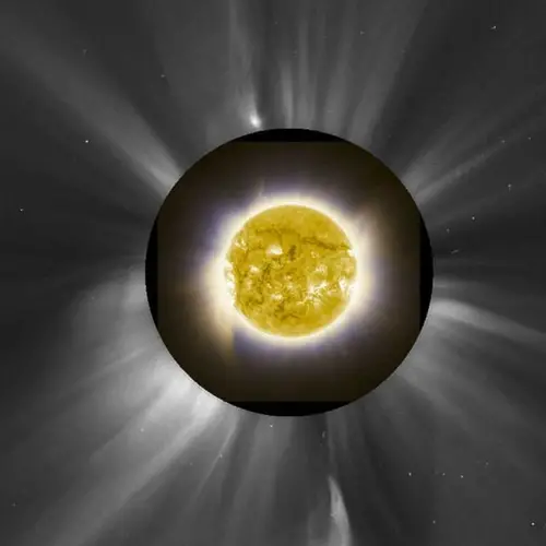 The Best Science Photos Of 2013