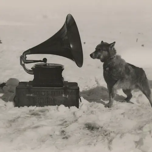45 Cool Photos National Geographic Kept Hidden In The Archives