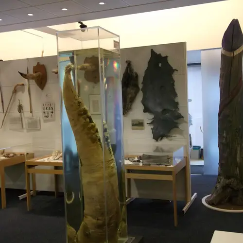 6 Strange Museums Around The World