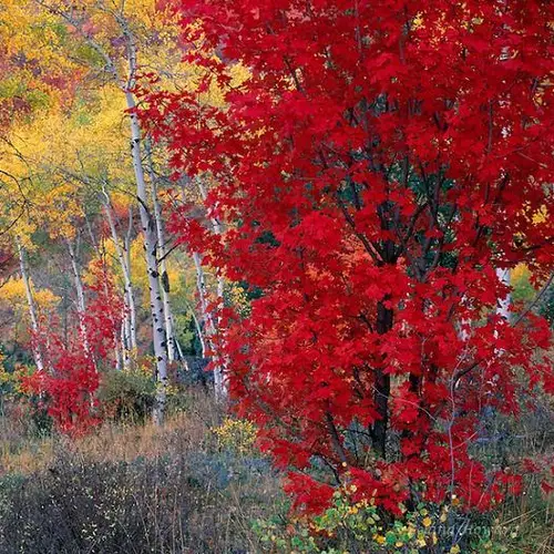 30 Colorful Fall Photos To Get You Excited For The Changing Of Seasons