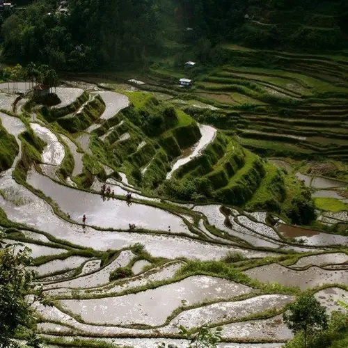 51 Unbelievable Photos Of The 2,000-Year-Old Philippine Rice Terraces