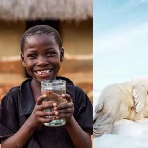 21 Inspiring Instagrams That Helped Change The World This Year