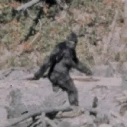 Astounding Bigfoot Facts That Delve Into The Legend Of The Notorious Ape-Man
