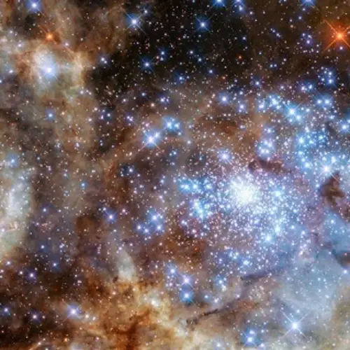 New NASA Image Reveals The Universe's Biggest Cluster Of Monster Stars In The Tarantula Nebula