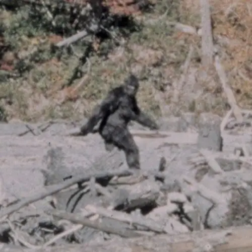Premiere Bigfoot Hunters Show Us Five Of Their Craziest Traps