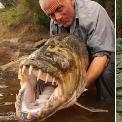 Man-Eaters And Monsters: The 15 Weirdest Freshwater Fish Ever Caught
