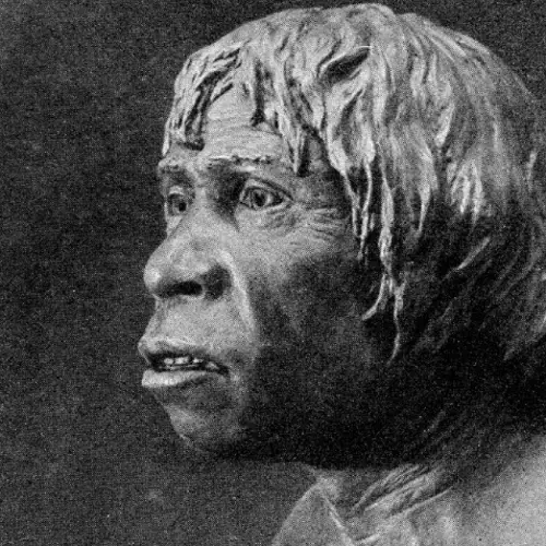 Sherlock Holmes, A Hoax, And The Missing Link Called The Piltdown Man