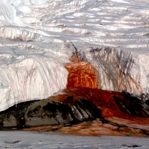 Scientists Finally Solve Mystery Behind Antarctica's Blood Falls