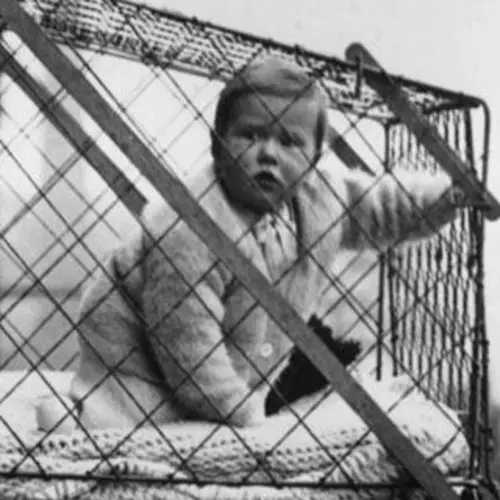 In The 1930s, People Kept Babies In Cages Suspended Out Their Windows
