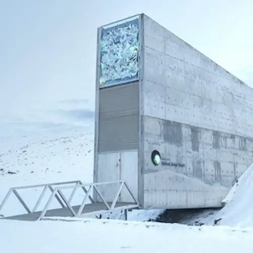 The World's Doomsday Crop Seed Vault In The Arctic Flooded Due To Melting Permafrost