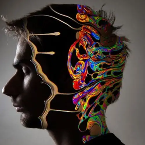 Scientists Actually Prove That Psychedelic Drugs Create An 'Elevated Level Of Consciousness'