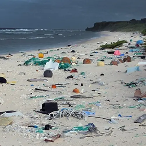 38 Million Pieces Of Trash Found On Shores Of Uninhabited Henderson Island