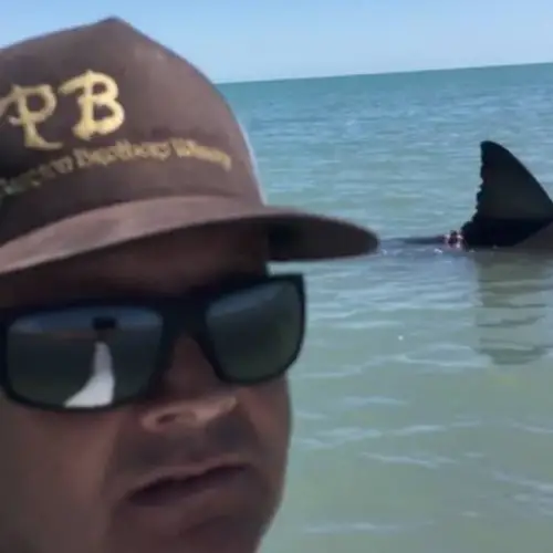 Daredevils Take Up-Close Video Of Great White Shark Flailing In Shallow Water