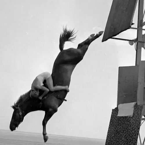 Horse Diving: 21 Vintage Photos Of The Cruel, Forgotten "Sport"