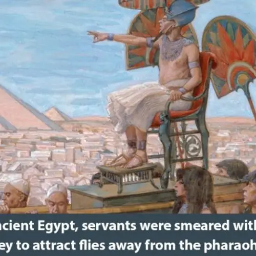 55 Interesting History Facts You Won't Learn Anywhere Else