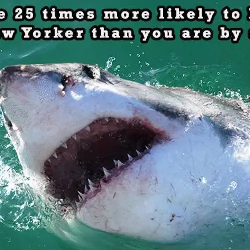 32 Weird New York Facts Even New Yorkers Probably Don't Know