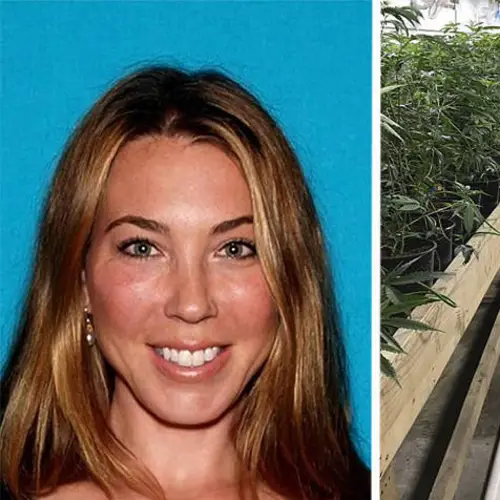 "It Was The Biggest Grow I've Ever Seen" – Suburban Mom Busted For Running Multimillion Dollar Weed Operation
