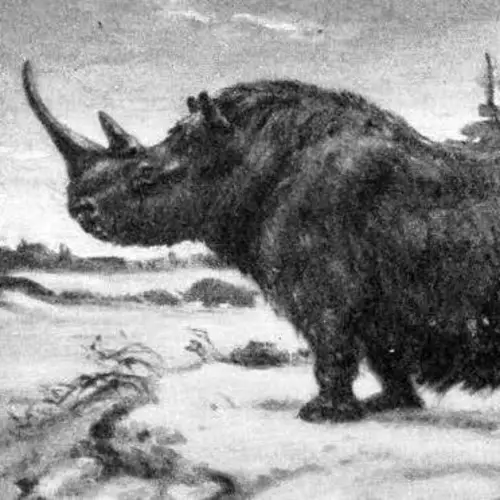 35 Extinct Animals That Should Be Cloned Back Into Existence
