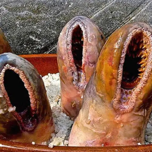 15 Gross Medieval Foods That People Actually Ate