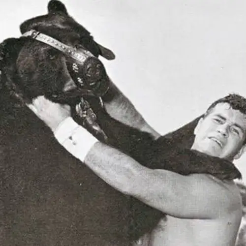 The Story Of Terrible Ted — The Pro Wrestling Bear Who Grappled With The World's Best